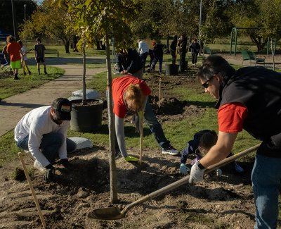 Image for ‘Tis the Season for Kirksey Tree Planting!