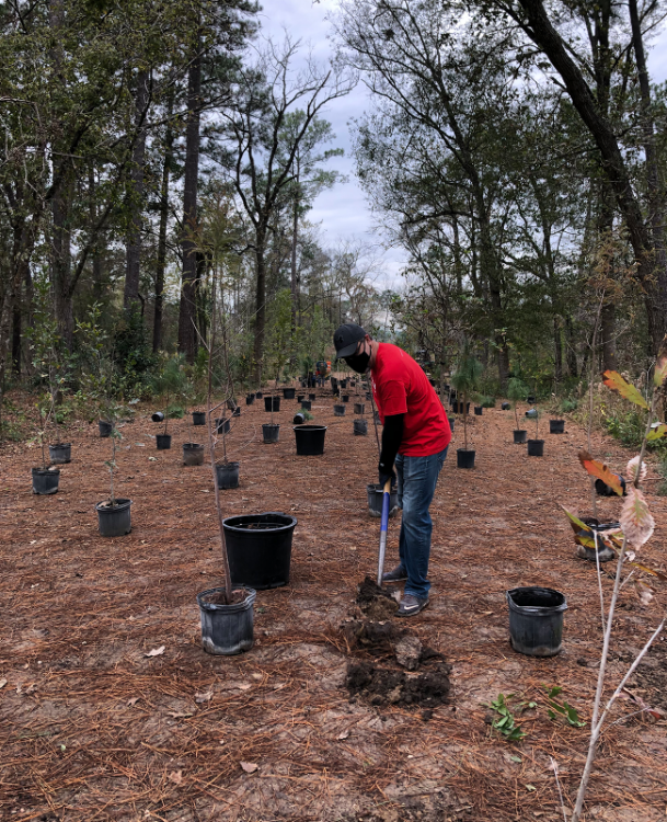 treeplanting_4.png