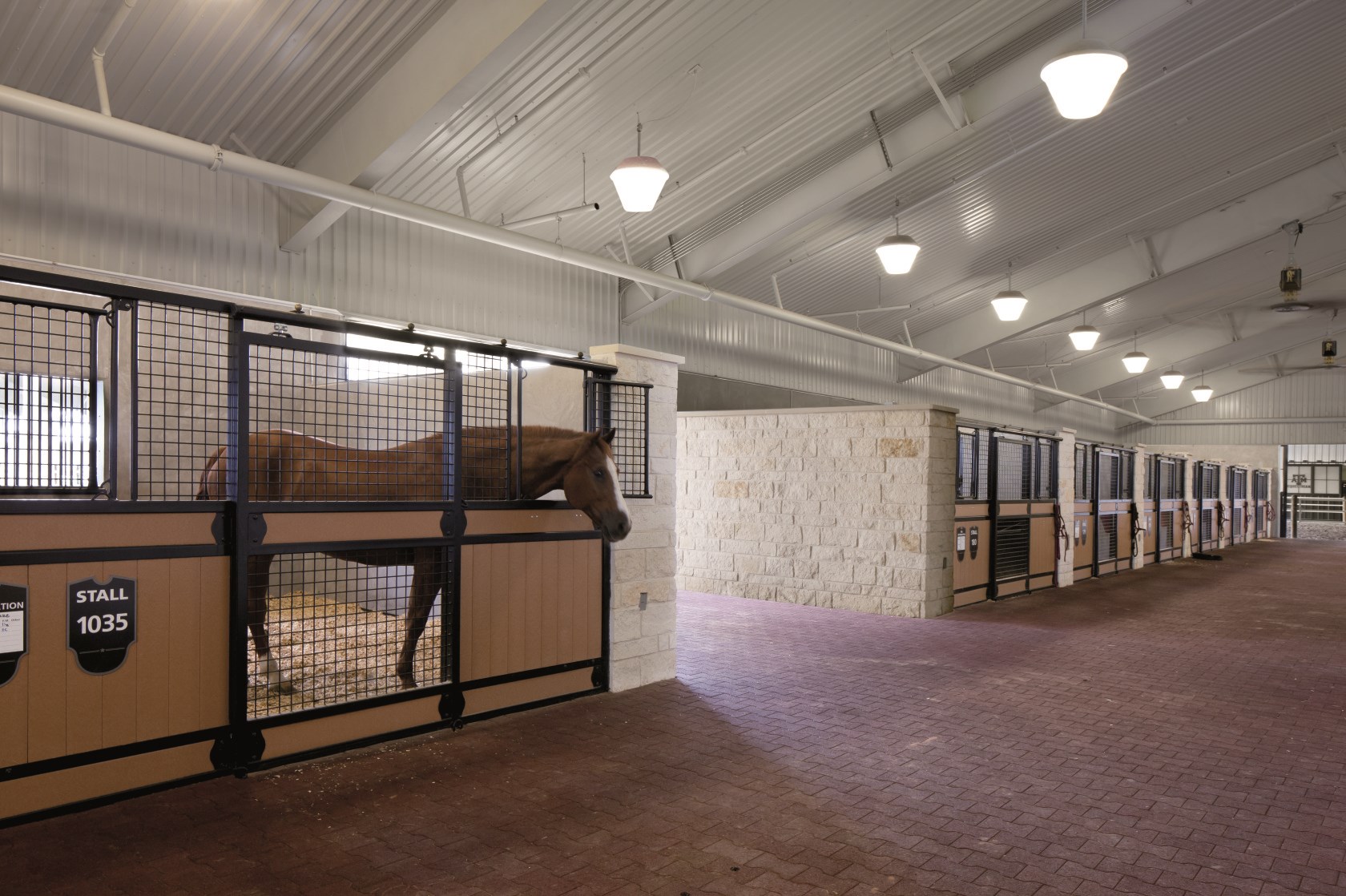 Texas A&M University Equine Initiative