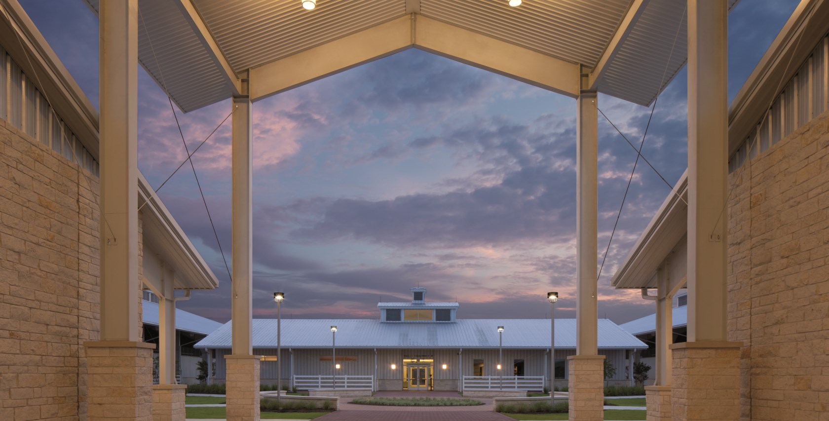 Texas A&M University Equine Initiative