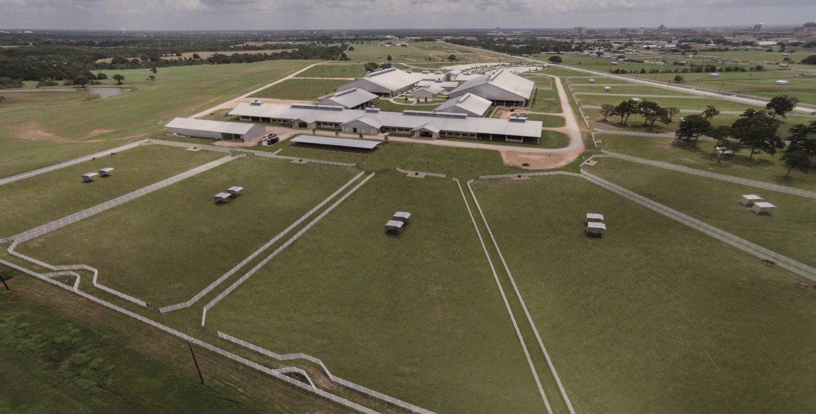 Texas A&M University Equine Initiative