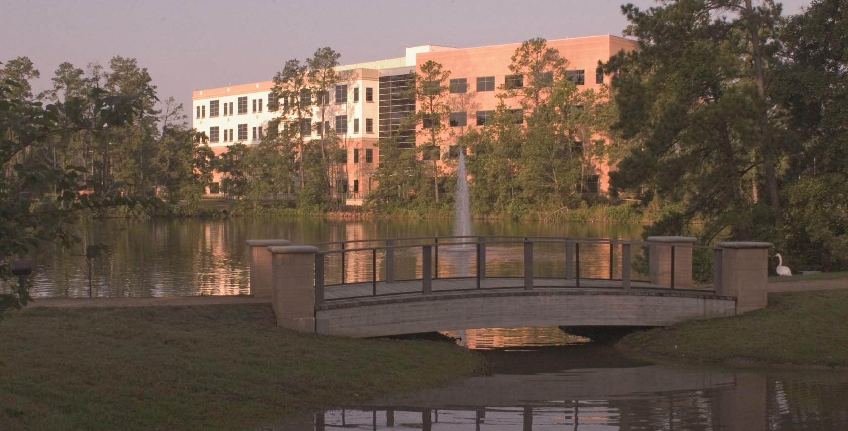 St. Luke's Health-The Woodlands Hospital: What You Actually Need to Know Before Your Visit