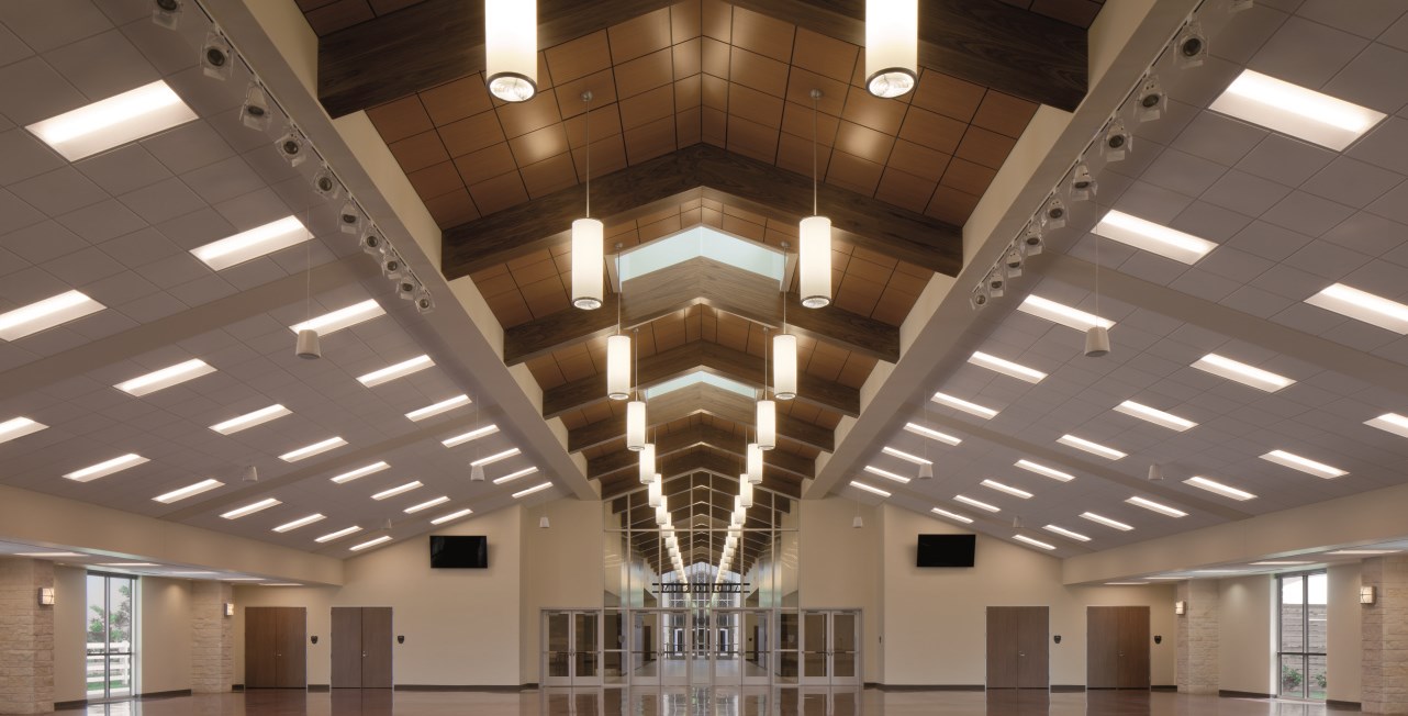 Texas A&M University Equine Initiative