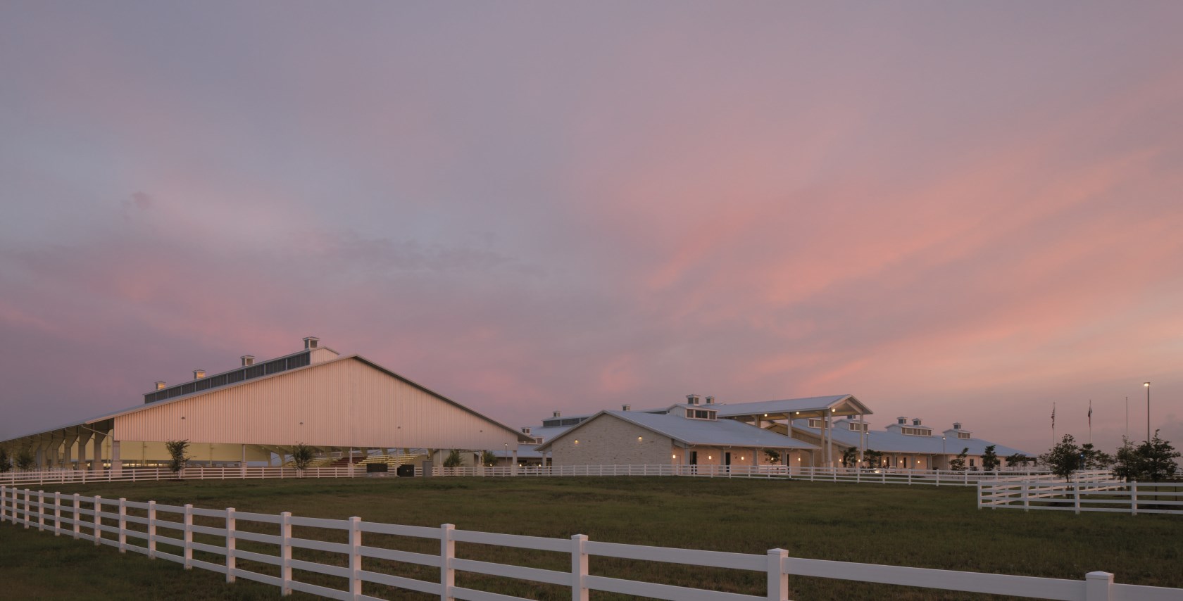 Texas A&M University Equine Initiative